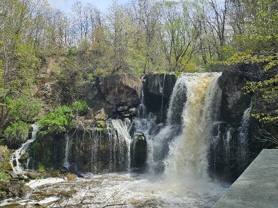 20230501_130057[1].jpg