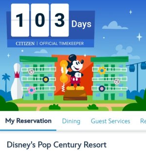 Screenshot_20250507_075858_Disney World.jpg
