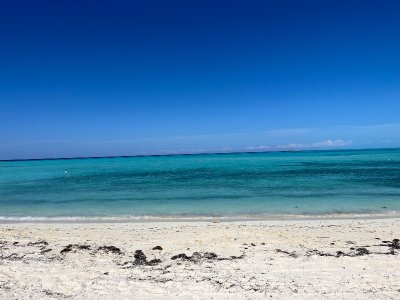 IMG_9445.jpeg