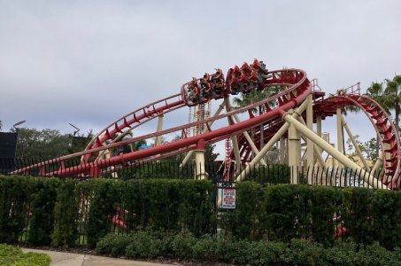 IMG_4003.jpeg