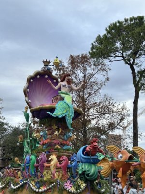 IMG_5396.jpg
