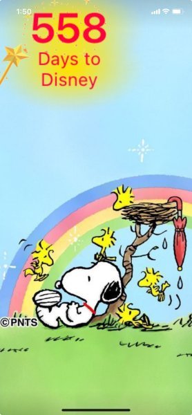 SW RAINBOW.jpeg