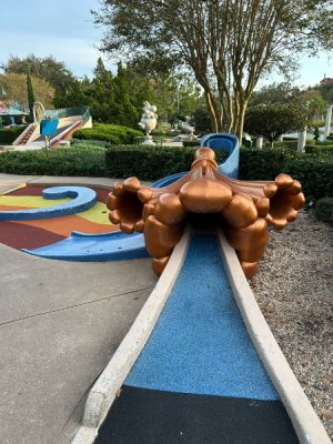 IMG_6882.JPEG