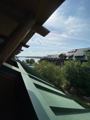 IMG_4636.jpeg
