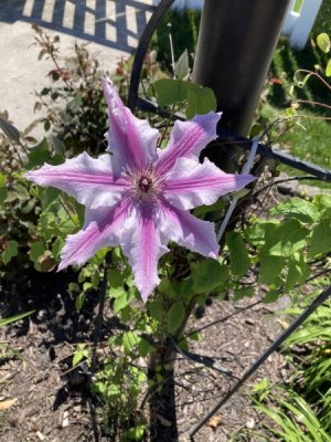 IMG_4362.jpeg
