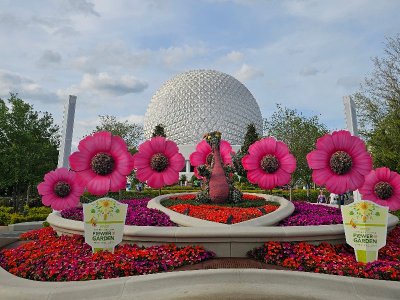 20240409_175431[1].jpg