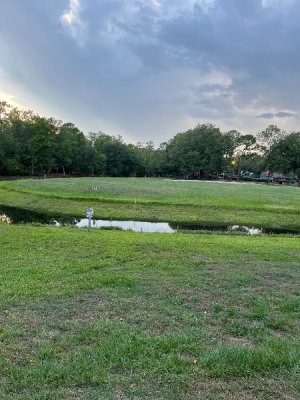 IMG_4288.jpeg