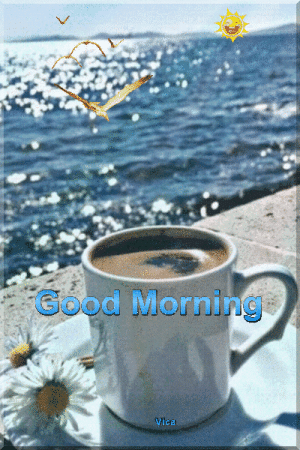 IMG_5507.gif