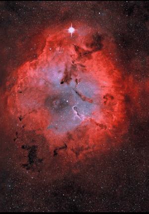IMG_5513.gif