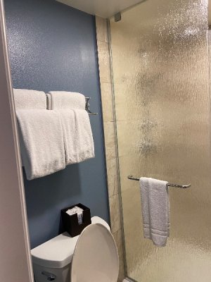 IMG_4774.jpeg