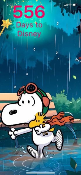 SW RAINY NIGHT RED BARON.jpeg