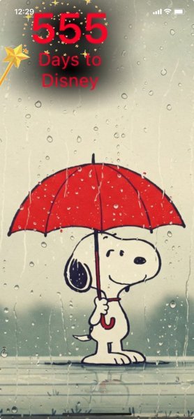 SNOOPY RAINY WINDOW.jpeg