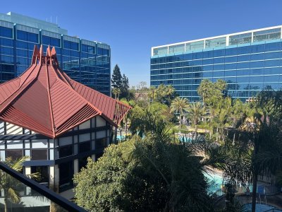 IMG_3386.jpeg