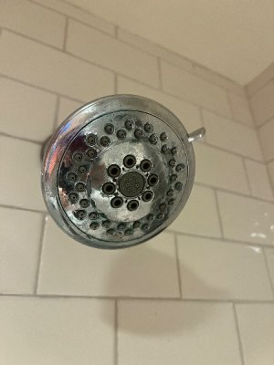 IMG_7528.jpeg
