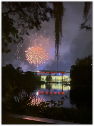 img_Monorail_red_fireworks.png