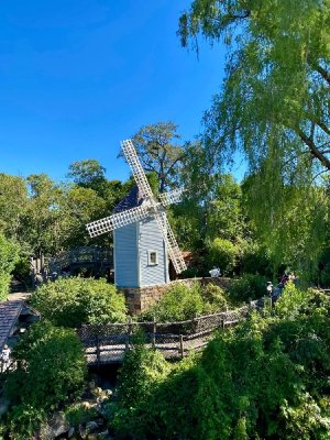 IMG_0347.jpeg