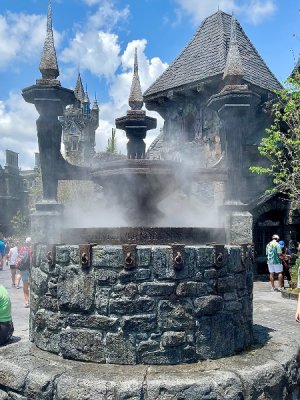 IMG_4905.jpeg