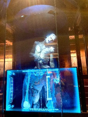 IMG_4268.jpeg