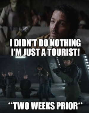 1747183552302.png