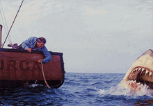 1747260825238.gif