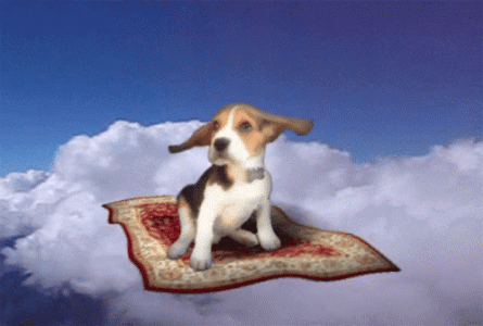 1747260970275.gif