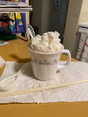 IMG_3518.jpeg