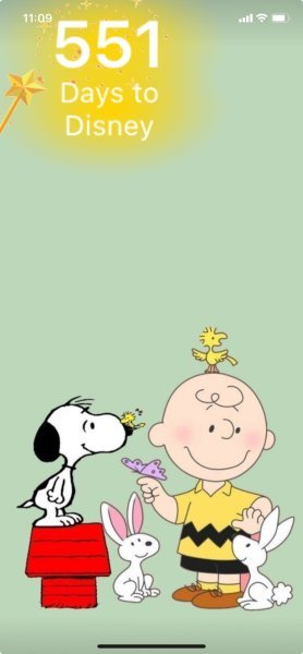 SW CHARLIE BROWN WITH BUNNIES.jpeg