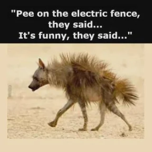 pee.png