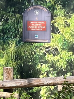 IMG_4298.jpeg