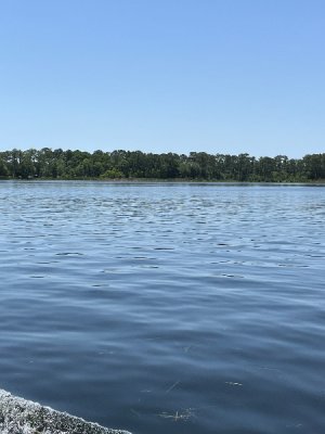 IMG_4305.jpeg