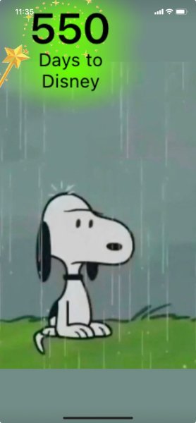 SNOOPY RAIN.jpeg