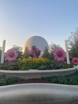 IMG_3601.jpeg