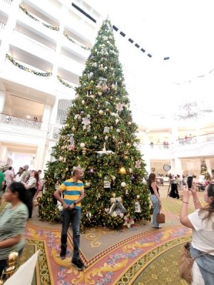Grand Floridian tree.jpg