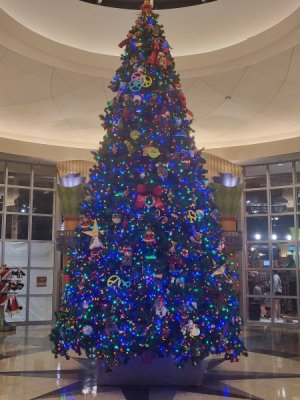 pop tree.jpg