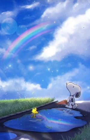 SW RAINBOW2.jpg