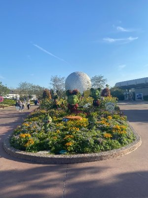 IMG_3604.jpeg