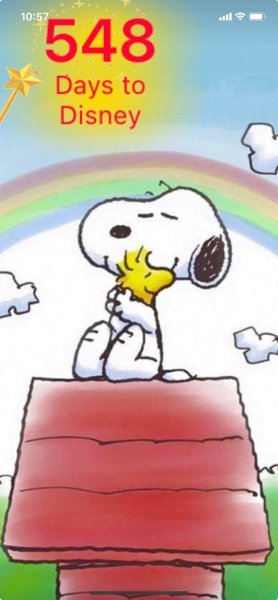 SW RAINBOW HUG.jpeg