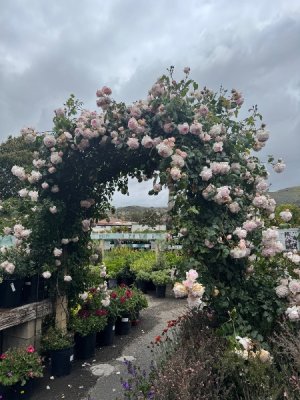 IMG_0770.jpeg