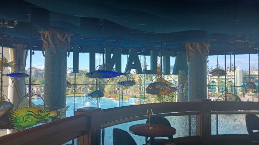 IMG_20250513_174138090_HDR.jpg