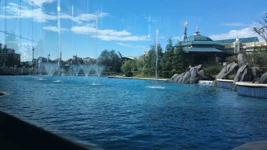 IMG_20250513_171344094.jpg