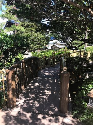 IMG_0013.jpeg