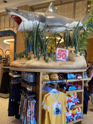 IMG_4467.jpeg