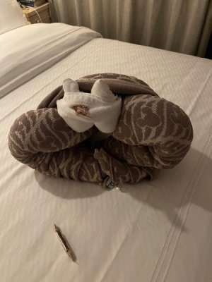 IMG_3332.jpeg