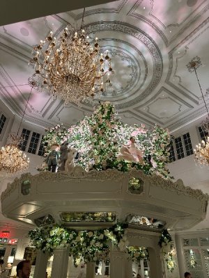 IMG_7394.jpeg