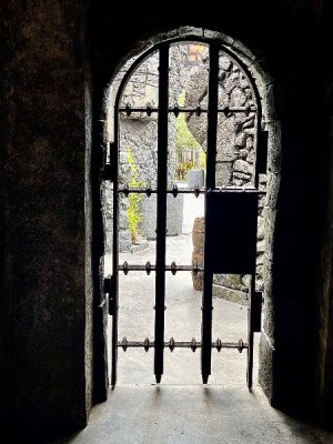 IMG_4388.jpeg