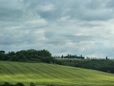 20250518_090446[1].jpg