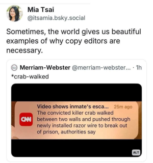 1747639396178.png