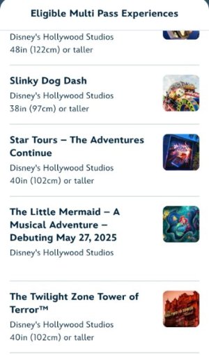 Screenshot_20250519_064446_Disney World.jpg