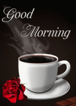IMG_5649.gif