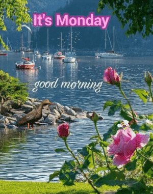 IMG_5155.gif